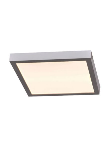 access-lighting_20076ledd-silv-acr