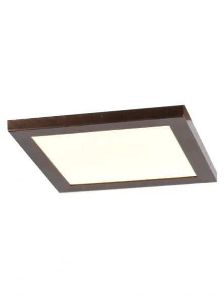 access-lighting_20814ledd-brz-acr