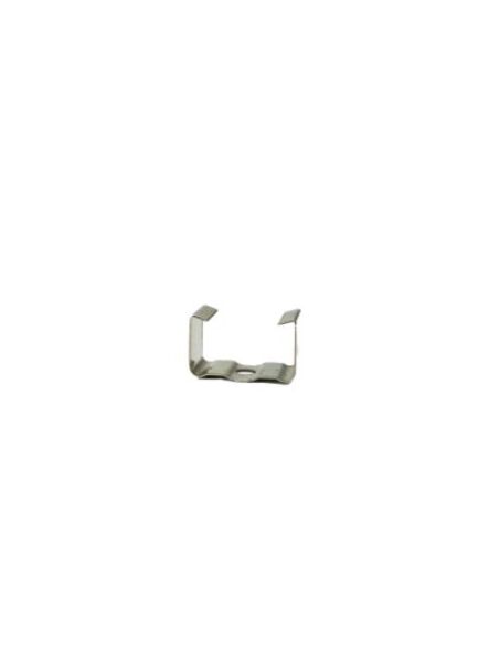 arani_ft-br