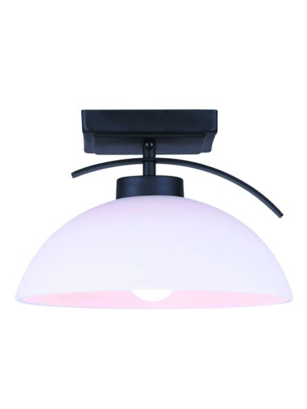 canarm_ipl1077a01bk