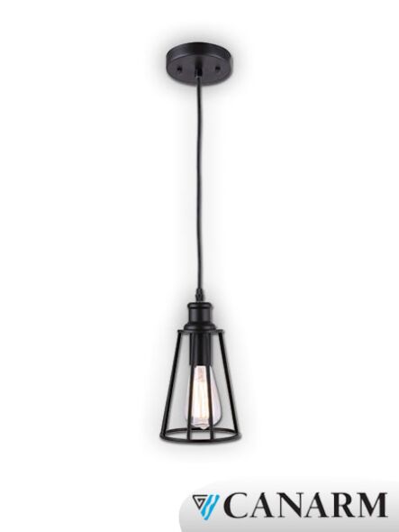 Canarm Oliver 1 Light Black Pendant Light IPL255B01BK (fixturewshade