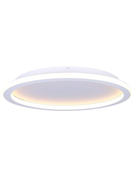 canarm_lfm279a20wh_1