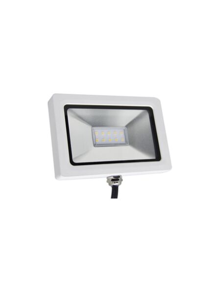 csc-led_fl02-10w