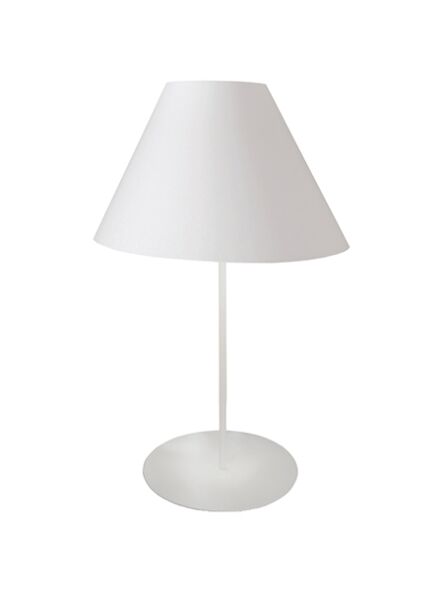 dainolite-mm142t-wh-790