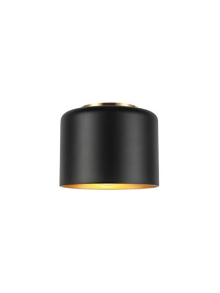 dainolite_emi-81fh-agb-mb