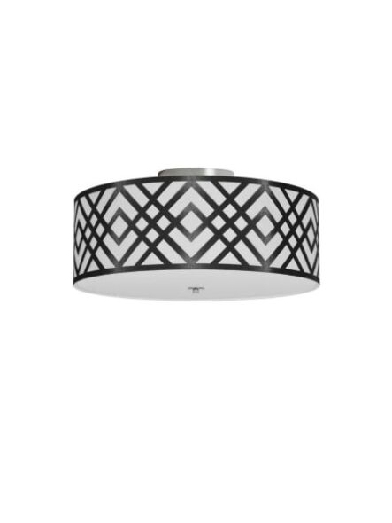 dainolite_mon-153fh-pc-bw