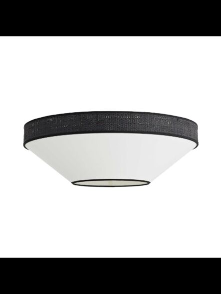dainolite_pia-343fh-mb-bw