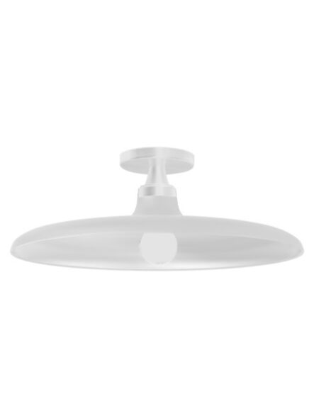 dainolite_qtn-181sf-mw