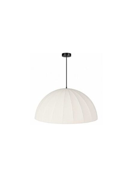 dainolite_ron-301p-mb