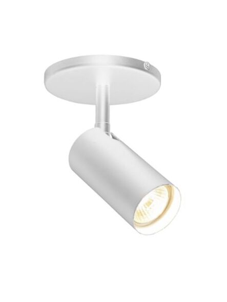 dainolite_sty-71spt-mw