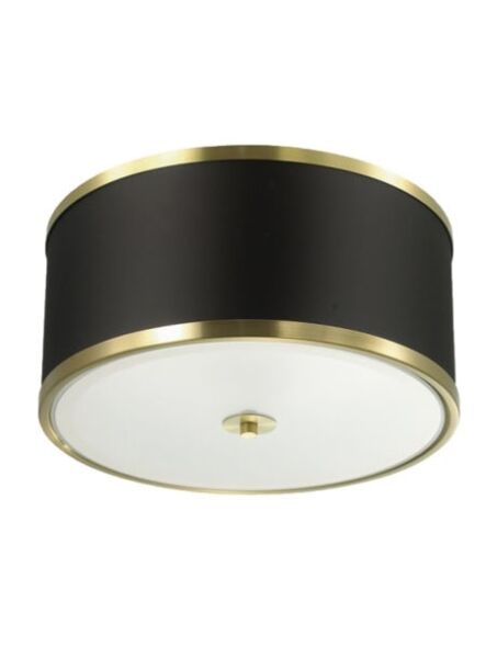 dainolite_zur-153fh-agb-bk