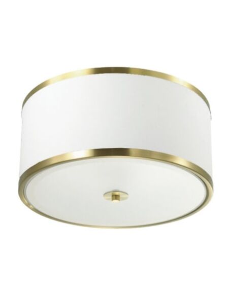 dainolite_zur-153fh-agb-wh