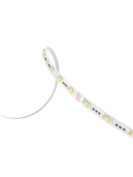 dals-lighting_dcp-tap50ft_1