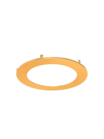dals-lighting_rec-trim6-gd_1