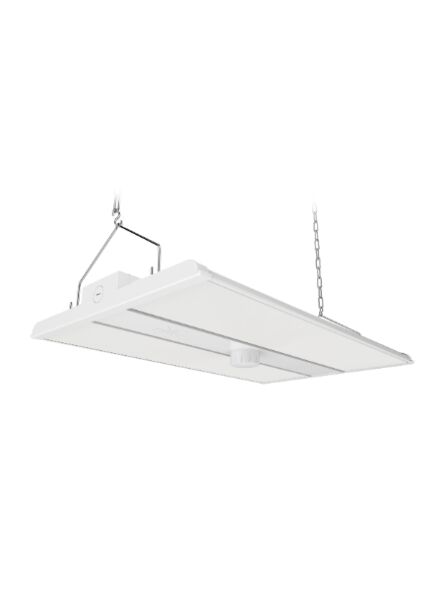 eel-lighting_phbf-4-7264