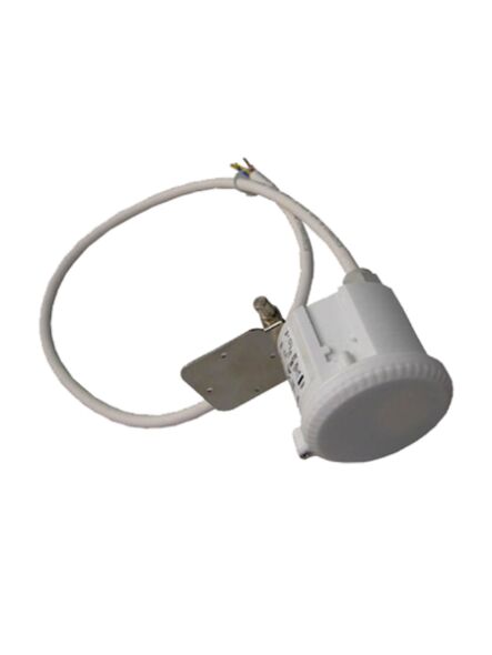 eel-lighting_smr5052
