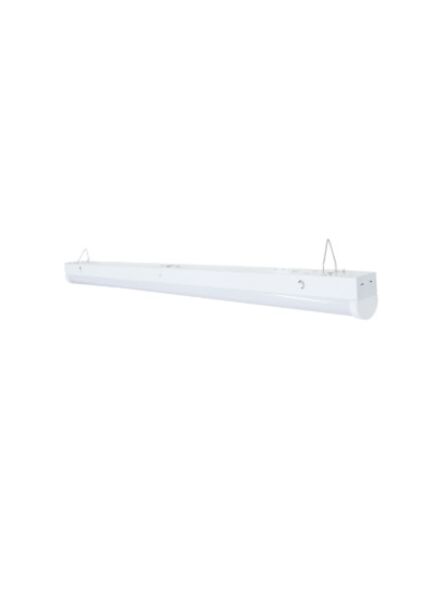 eelighting_slo-2-1352