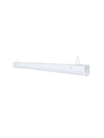 eelighting_slo-2-1452