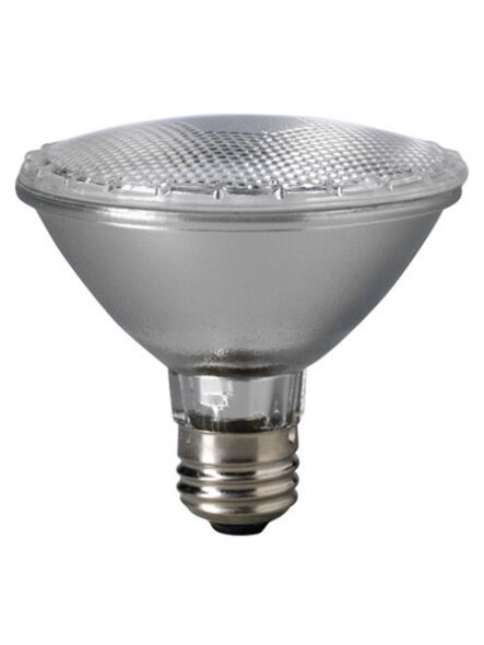 eiko_60par30-h-nfl-120v