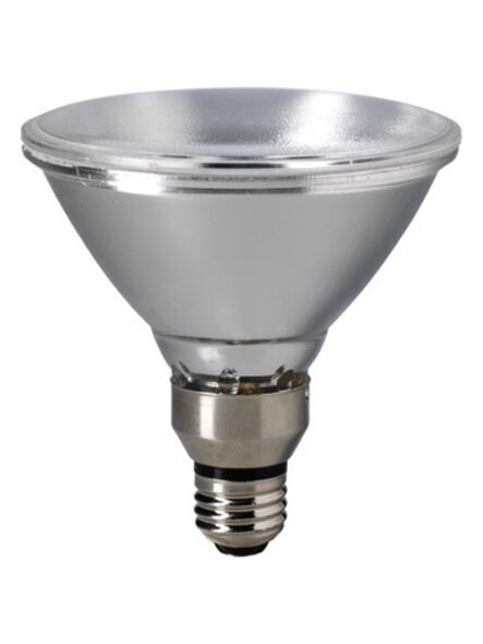 eiko_60par38-h-fl-120v