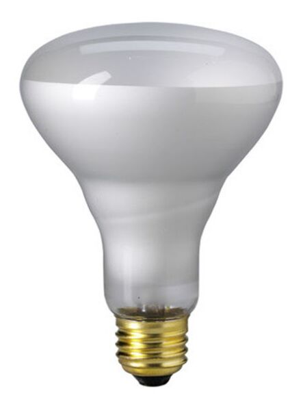 eiko_65br30-sp-120v
