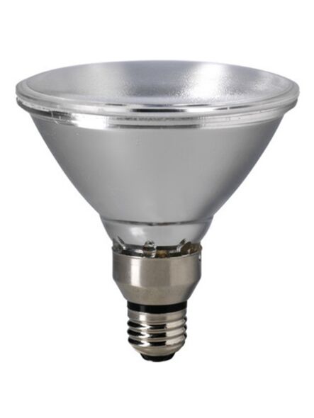 eiko_70par38-h-sp-120v