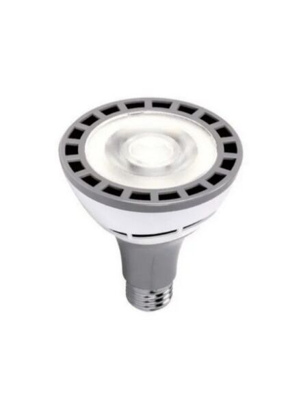 eiko_led12wpar30-nfl-840-u