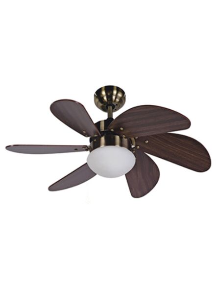 elite_ech-f1-1068-30-6