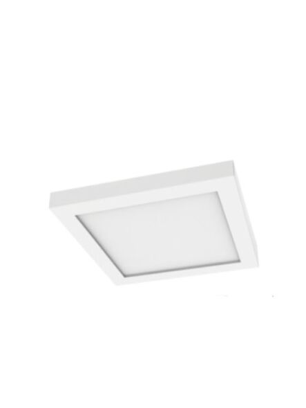 elite_rl495-cct