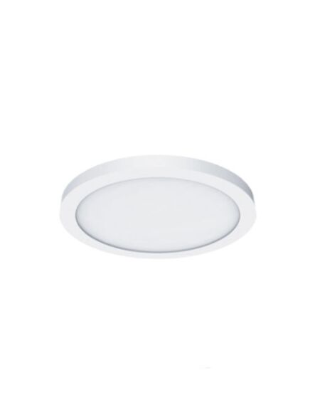 elite_rl591-cct