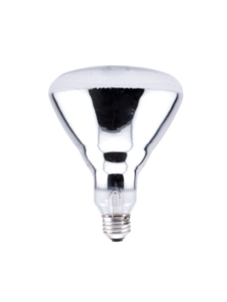 ledvance_250br40-1-120v_1