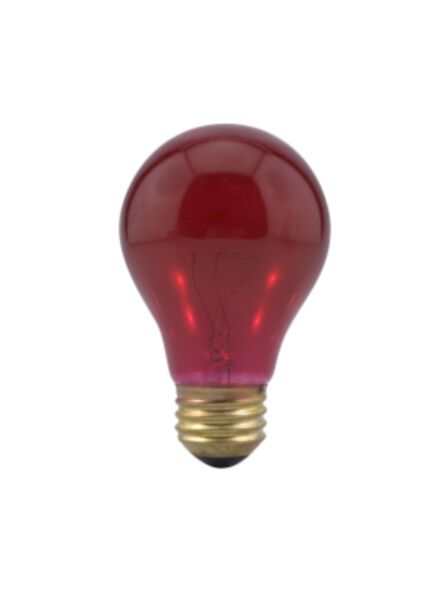 ledvance_25a19-tr-rp-125v_1