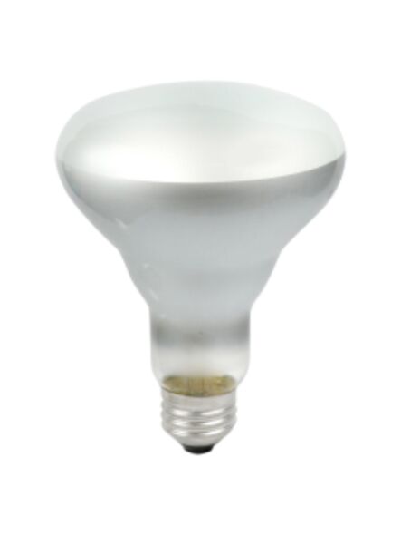 ledvance_45br30-fl-rp-120v