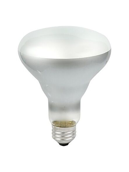 ledvance_45br30flrp120v
