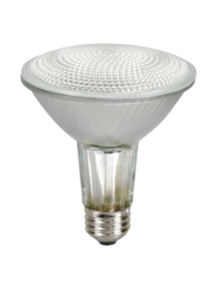 ledvance_60par30lnhalwfl50-120v