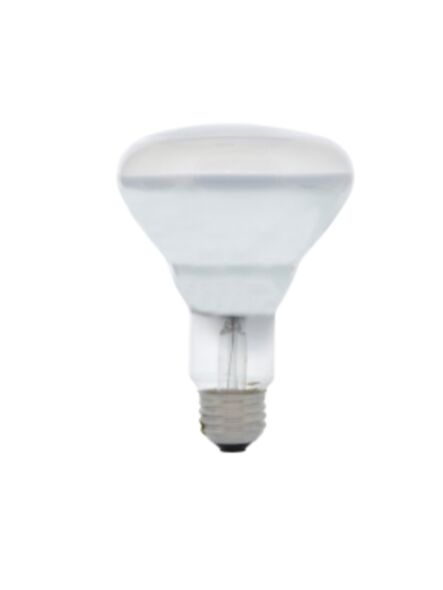 ledvance_65br30-dl-fl-rp-120v_1