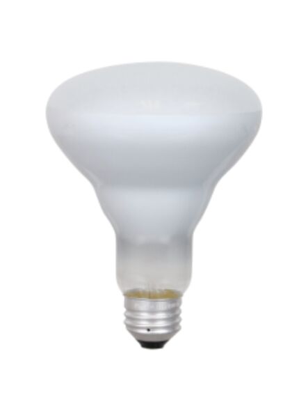 ledvance_65br30-fl-rp-120v