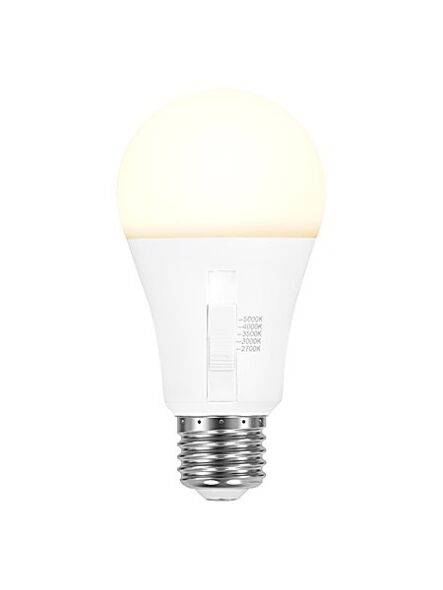 ledvance_led9a19dimo9sc3rp