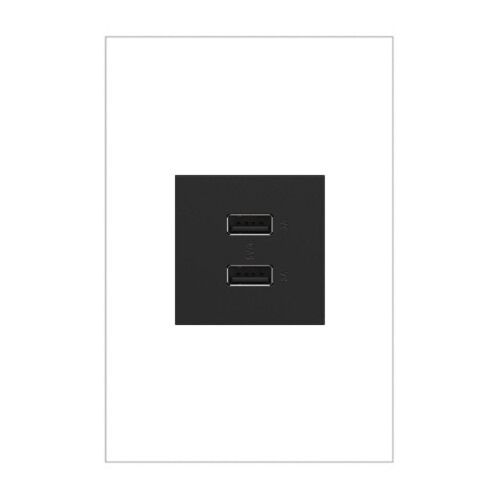 legrand_arusb2aa6g4_1