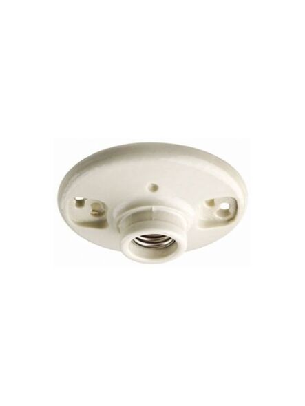 leviton_lev-49875