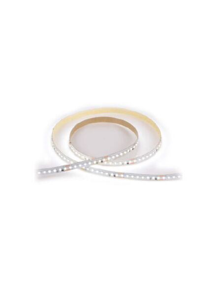 lotus-led_lbl-2216-238p-24v-10-40k