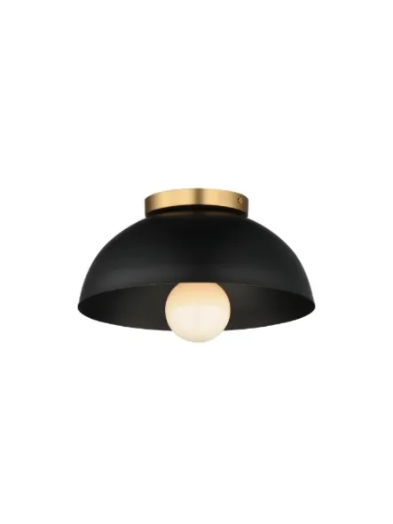 maxim-lighting_10020bknab