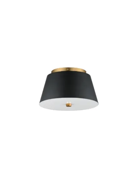 maxim-lighting_10710wtbknab