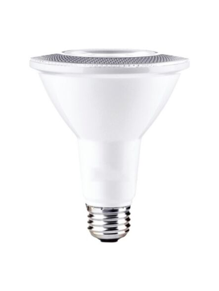 maxim-lighting_bl10par30ft120v30