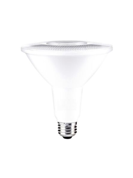 maxim-lighting_bl15par38ft120v30