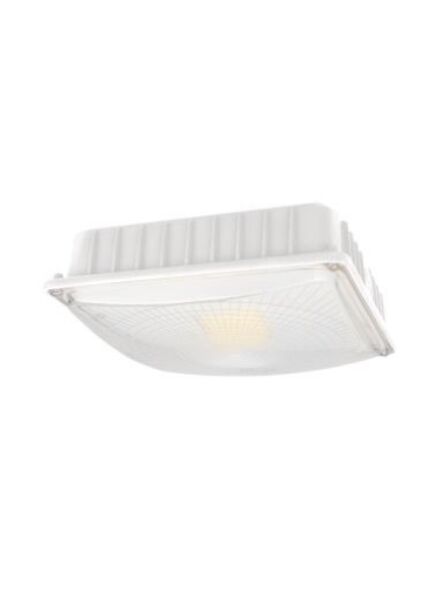 maxlite_cp30up-50w_1