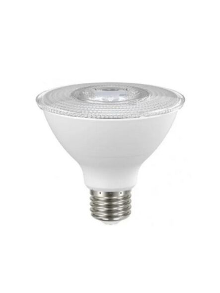 naturaled_led10par30-80l-fl-930