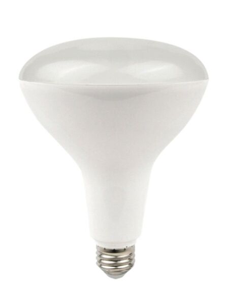 naturaled_led11br40-100l-927_1