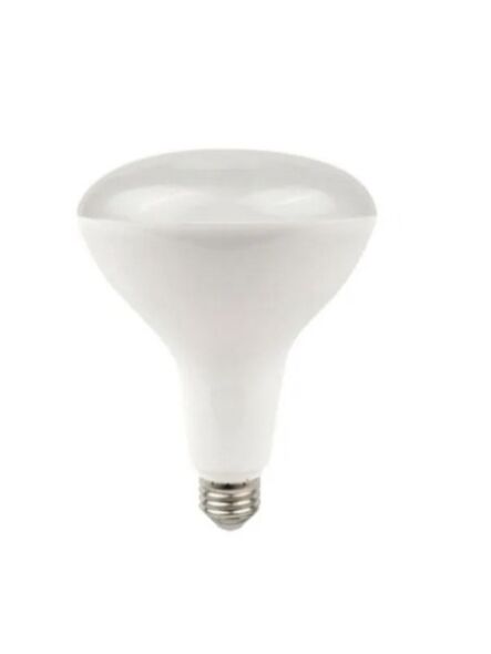 naturaled_led12br30-90l-927