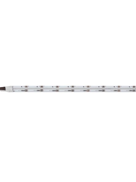 nora-lighting_nutpcob-rgbw_1